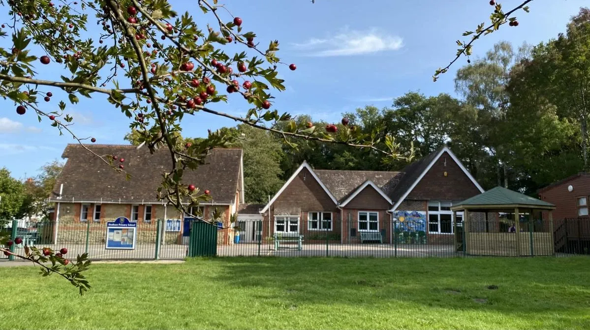 Stedham Primary School seen from the playing field on a summer day, under a hawthorn branch